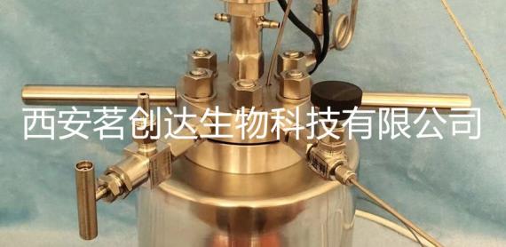 高压反应釜的控温和防爆