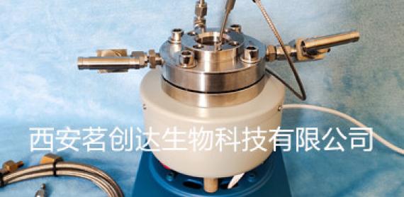 高压反应釜使用注意事项